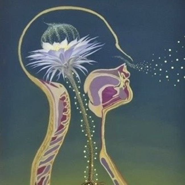 CORSO DI AROMATOLOGIA – OLI ESSENZIALI per la stagione autunno inverno