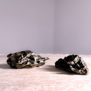 CAMPO DEL CIELO meteorite